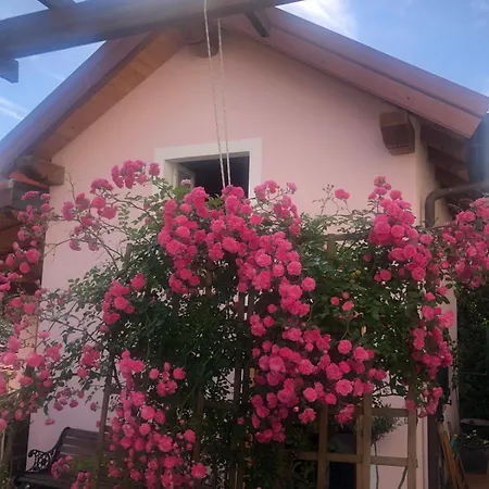Bice Di Casteruggia Holiday home *
